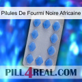 African Black Ant Pills 21